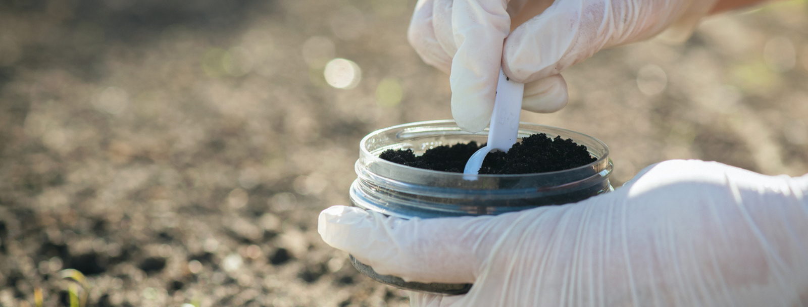 Basics of Identifying and Documenting Hydric Soils