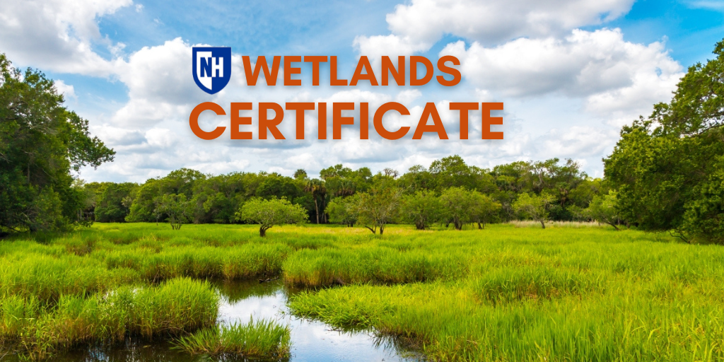 Wetlands Certificate