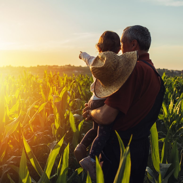older man holding small child in field at sunset