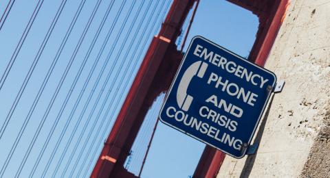 sign on bridge that says emergency phone and crisis counseling