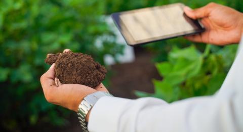 Holding soil and a tablet