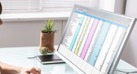 Introduction to Microsoft Excel woman analyzing spreadsheets