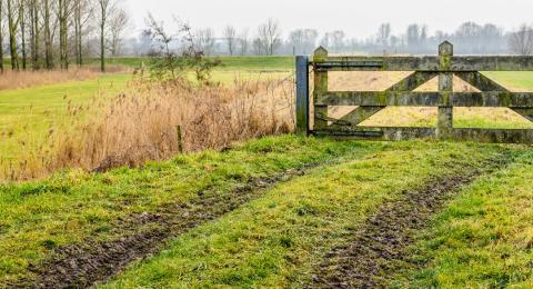 muddy field with fence