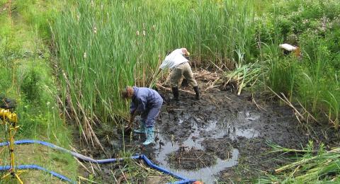 people working on stormwater maintenance