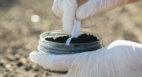 person testing soil