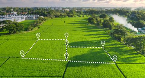 Aerial view of field