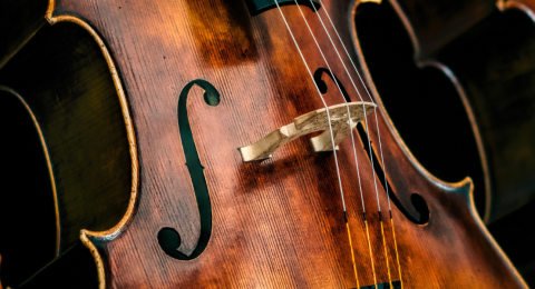 close up of three cellos