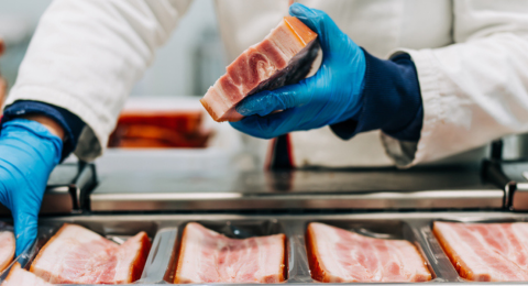 two blue-glove hands handling cut of meat