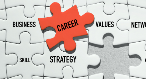 jigsaw puzzed with career text