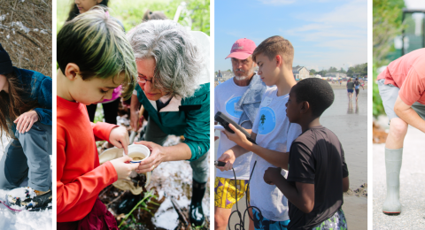 Citizen & Community Science Banner June 2026
