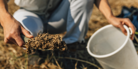 soil science