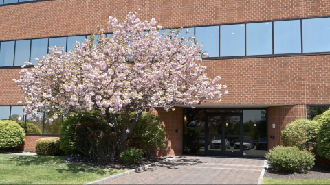 230 Commerce Way back entrance