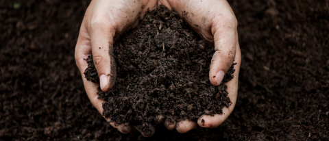 two hands holding soil