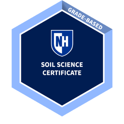 digital badge