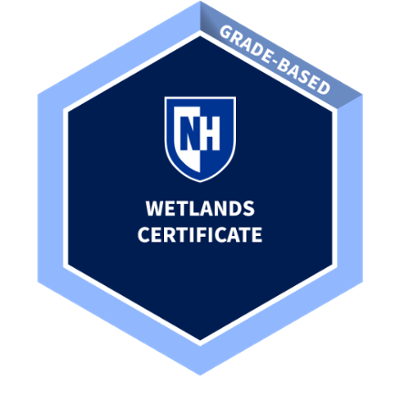 digital badge