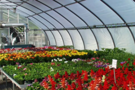 2026 Webinar Series for Greenhouse, Nursery & Garden Center Professionals