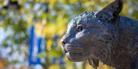 UNH wildcat statue